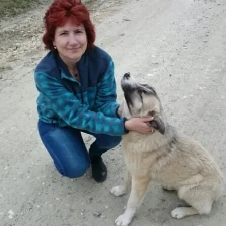 pet sitter romania